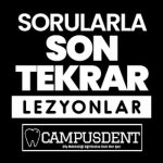 LEZYONLAR ÖZEL BÖLÜM (SORU ÇÖZÜMÜ)