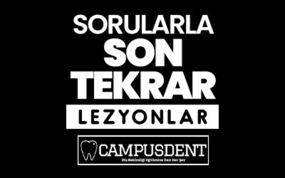 LEZYONLAR ÖZEL BÖLÜM (SORU ÇÖZÜMÜ)